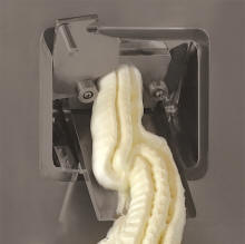 Precious flow of fresh gelato from a batch freezer