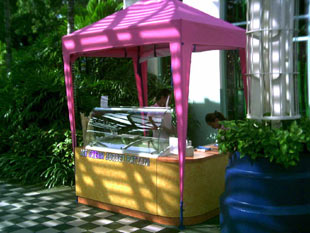 Micro ice cream business